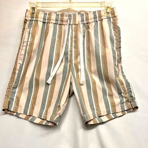 Free Planet shorts, size Large.